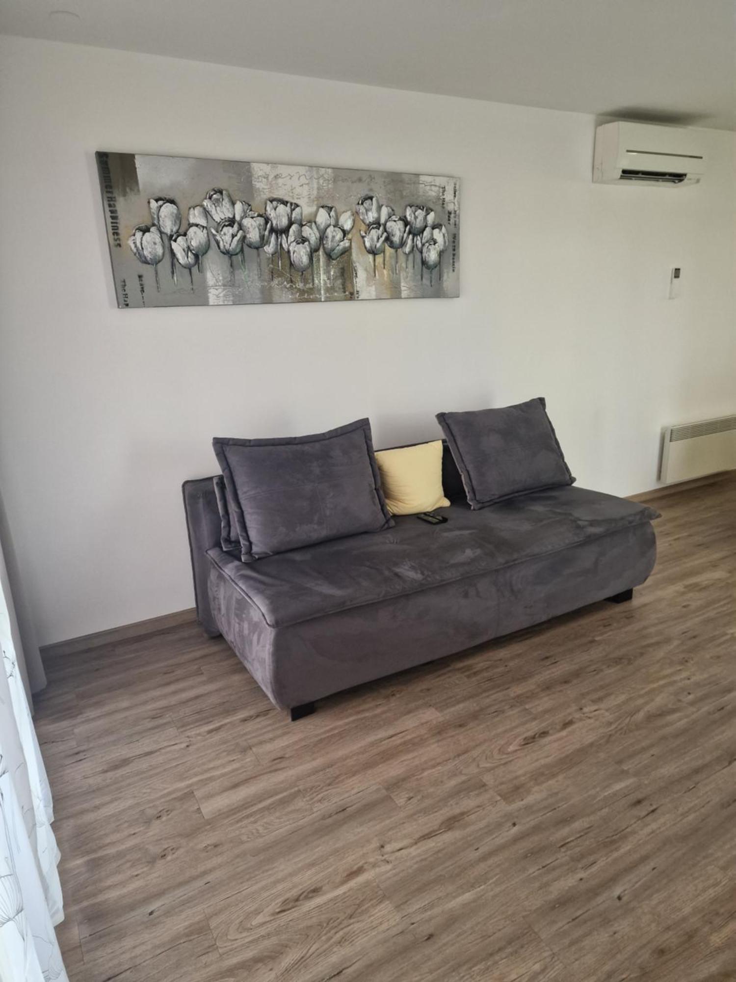 Family Apartment Moravske Toplice Luaran gambar