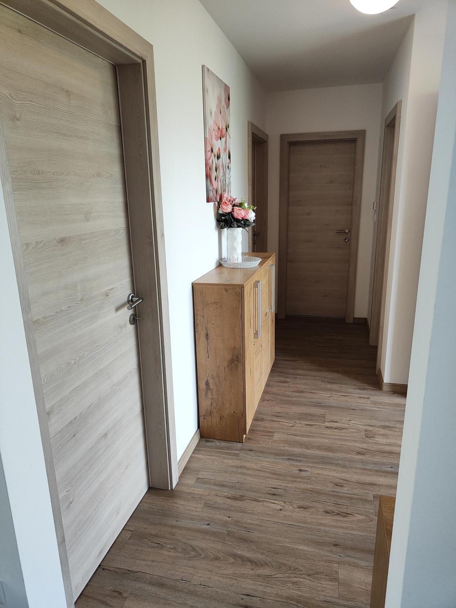 Family Apartment Moravske Toplice Luaran gambar